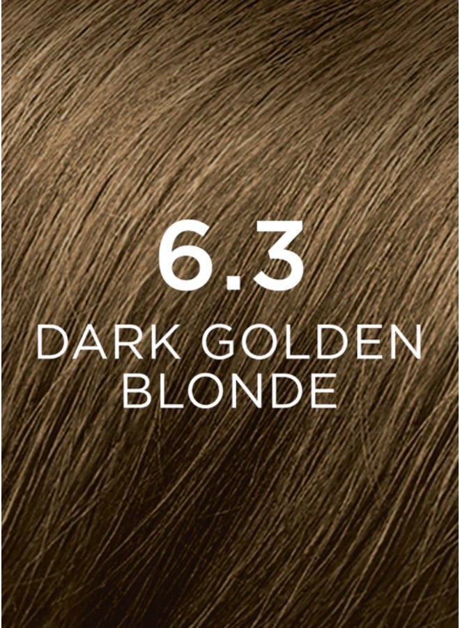 Phyto فيتو فيتوكولور 6.3 أشقر ذهبي داكن - Image 2